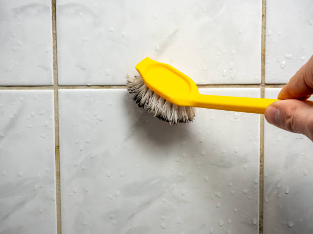 Best Mold Testing  in Ridgemark, CA