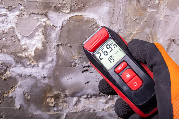 Best Mold Cleaning Services  in Ridgemark, CA