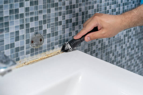 Best Commercial Mold Removal  in Ridgemark, CA