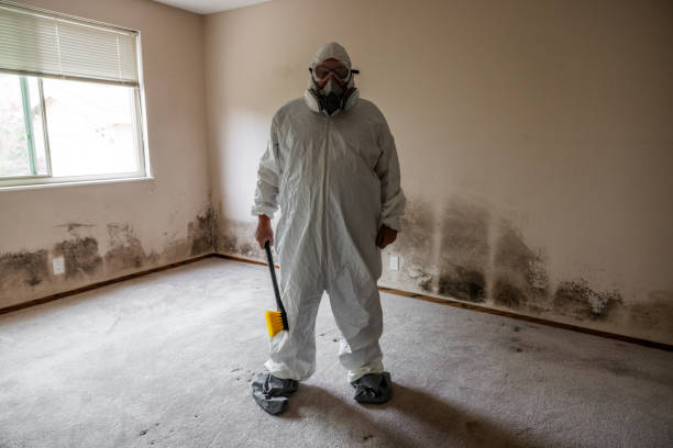 Best Fast Mold Removal  in Ridgemark, CA